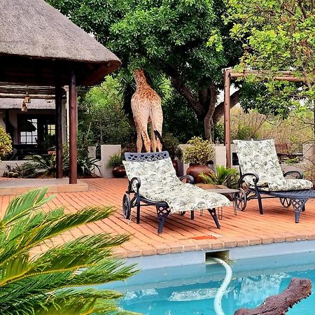 Graceland Eco Retreat Magoebaskloof Eksteriør billede