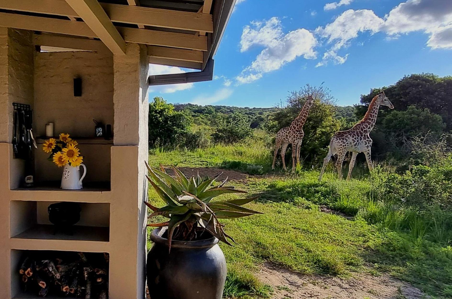 Graceland Eco Retreat Magoebaskloof Eksteriør billede